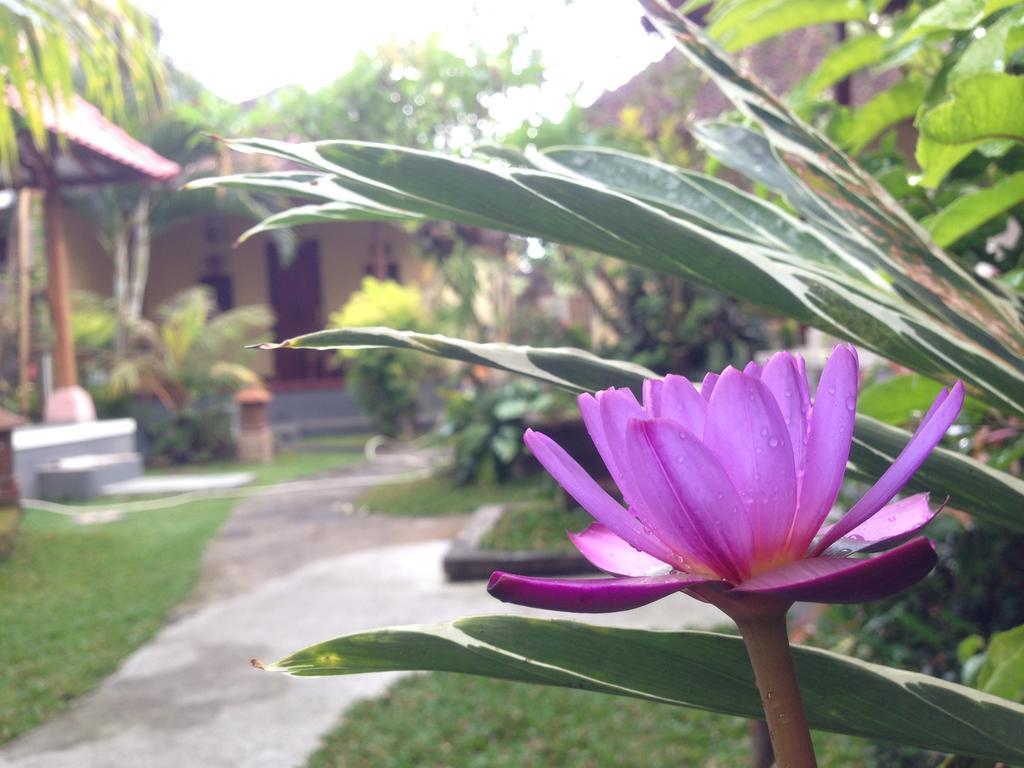 Dimuwa Ubud Camera foto