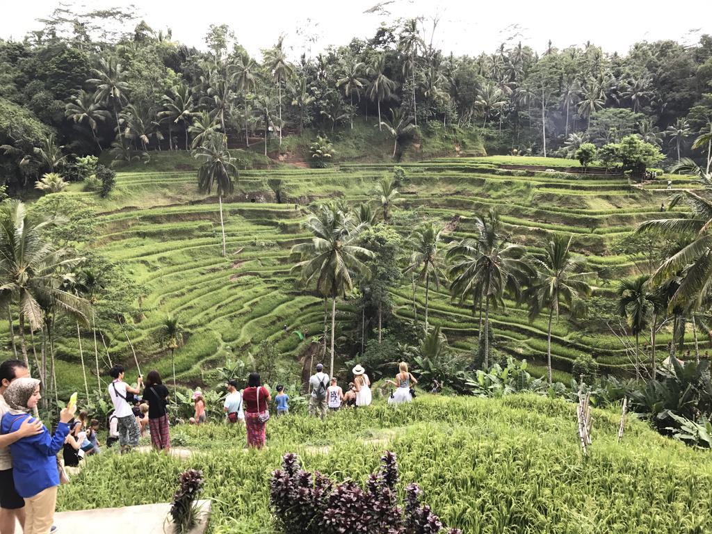 Dimuwa Ubud Esterno foto